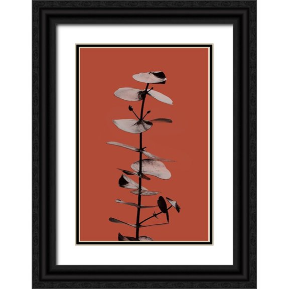 Artographie Studio 23x32 Black Ornate Wood Framed with Double Matting Museum Art Print Titled - Eucalyptus Rust 02