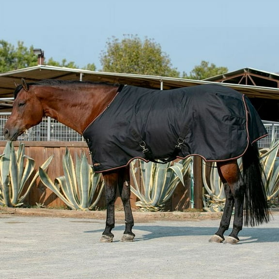 Signature Medium Weight Turnout