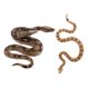 thumbnail image 1 of 2pcs simulación de serpiente falsa modelo de broma de broma de animal realista, 1 of 7