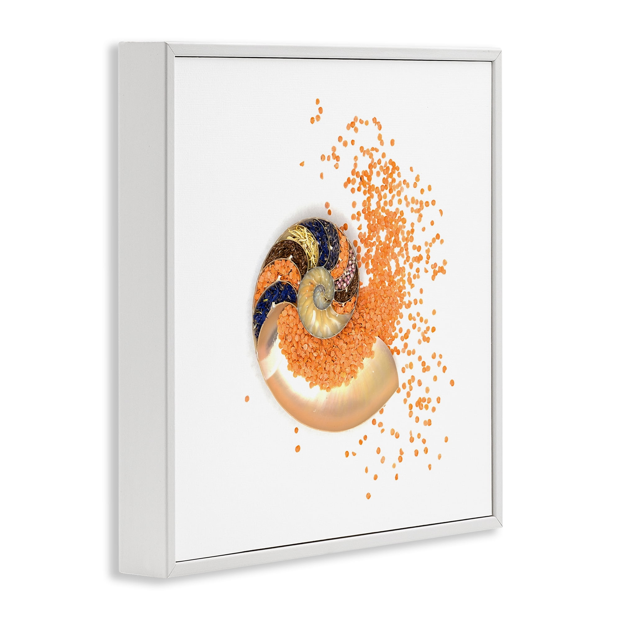 Stupell Industries Orange Nautilus Spiral White Framed Giclee Art, design by Beth Adoette