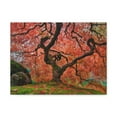 thumbnail image 2 of Old Japanese Maple Tree In Japanese Garden Canvas Wall Art for Home Decor Ready-to-Hang, 2 of 10
