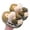 Light Green, variant on GobdXE Bow Lace Kids Fuzzy Closed Back Slippers Warm Indoor House Slippers for Home Wear Size:9.5-10 Years