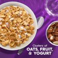 thumbnail image 2 of Kellogg's Special K Breakfast Cereal, Fiber Cereal, Family Breakfast, Family Size, Fruit and Yogurt, 17.9oz Box (3 Box), 2 of 8