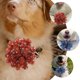 thumbnail image 4 of unbranded 20Ud Collar Floral Para Mascotas Pequeñas Ideal Para Fiestas Y, 4 of 6