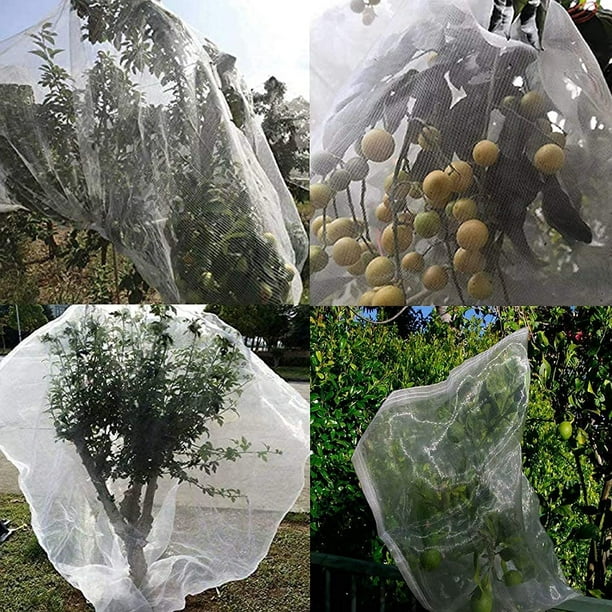 SHAR Fruit Tree Netting (1.2 x 1.8m/0.8mm Mesh Size), Insect Protection  Netting, 2 Pack Plant Protection Netting with Drawstring, Garden Netting