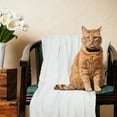 thumbnail image 3 of PiccoCasa Fluffy Fleece Blanket Lightweight Plush Throw Blanket for Couch Sofa Bed, White Pet(30" x 40"), 3 of 6