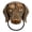 Dachshund, variant on Vintage Style Resin Dog Door & Gate Knocker Handle Pull Door Accessories Home Decor - English English
