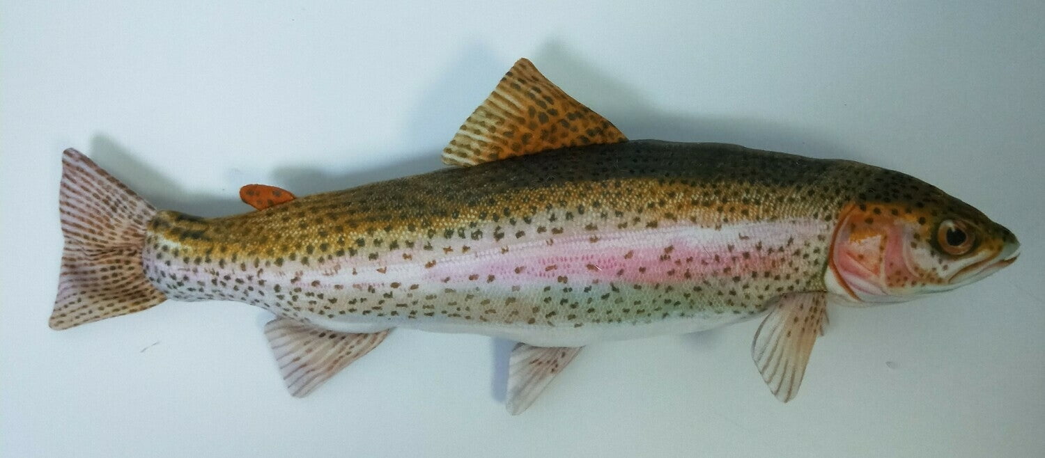 Rainbow Trout