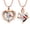 Rose Golden, variant on 2 Pieces Red Cardinal Urn Necklace for Ashes Keepsake Memorial Crystal Heart Urn Locket for Human/Pet Cremation Jewelry for Men Women