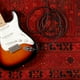 thumbnail image 2 of Cable para Instrumentos Planet Waves PW-AMSG-15, 2 of 6