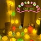 thumbnail image 5 of Luzes de Cuerda Al Aire Libre Decoración Del Día de Pascua Luzes de Cuerda 150cm Plástico Multicolor, Decoraciones de Pascua Al Aire Libre Pollo Amarillo Roto Pollos Coloridos Huevos Grietos Luzes, 5 of 7