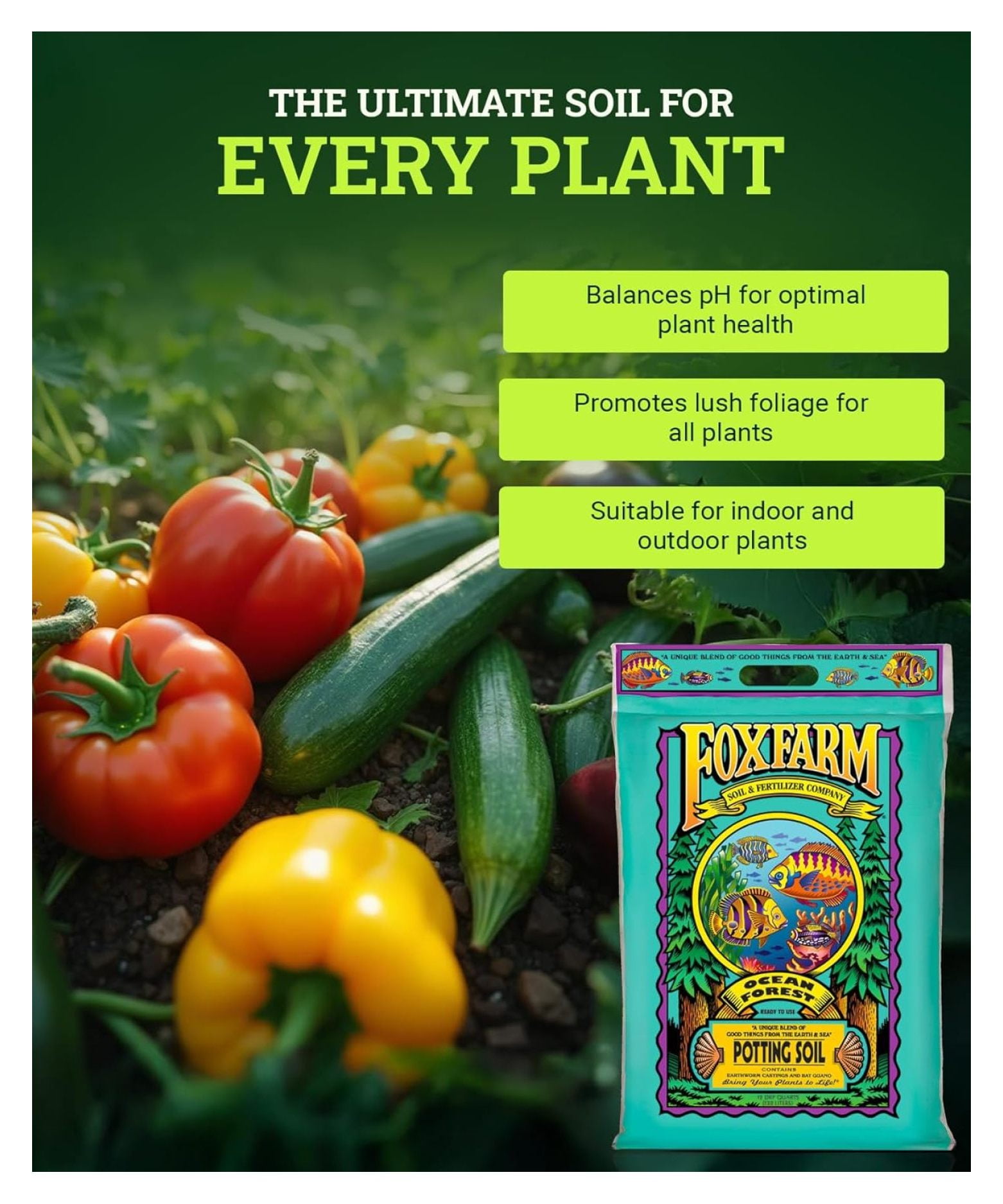 Ocean Forest Potting Soil, 12qt – Light, Aerated Texture, Designed for All Container Plants – pH Adjusted for Optimal Nutrient Uptake, Effectively Retains Moisture (12 Quart (2 Pack))