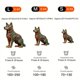 thumbnail image 3 of Wooden Carving Dog Puzzle, Special-shaped Animal Jigsaw Puzzle, Adult Decompression Round Super Hard And Difficult Puzzle Toy, Birthday Holiday Adult Men And Women Gift, 3 of 4