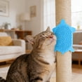thumbnail image 4 of Outdor Turtle Shaped Cat Comb Wall Mounted Cat Scratching Board & Self Grooming Device, 4 of 5