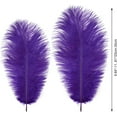 thumbnail image 2 of 10 Pack Natural Ostrich Feathers, 10-12 in (25-30 cm) Crafts DIY Plume Feather for Centerpieces Home Wedding Party Table Decoration - Purple, 2 of 7