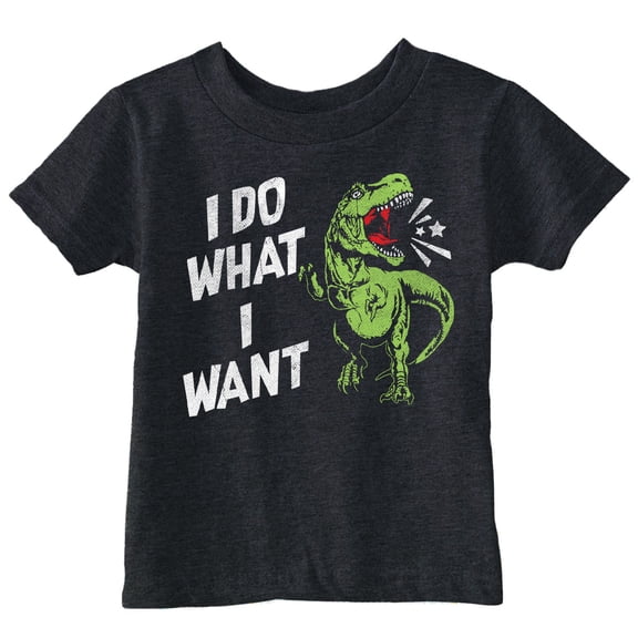 Toddler Funny T Shirts I Do What I Want Sarcastic T Rex Graphic Novelty Tee For Young Kids