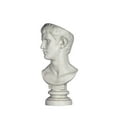 thumbnail image 5 of Design Toscano Bust Planter of Antiquity Statue: Emperor Caligula, 5 of 9