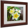 thumbnail image 2 of Trademark Fine Art 'Plumeria in the Rain' Canvas Art by Pierre Leclerc, White Matte, Wood Frame, 2 of 4