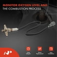 thumbnail image 2 of A-Premium O2 Oxygen Sensor Replacement for Toyota Pickup 1992 I4 2.4L 22RE Upstream and Downstream 2-PC Set, 2 of 9