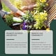 thumbnail image 5 of 1-3x Carnivorous Plant Food, Venus Flys Trap Food Drops: Tropical Plants Liquid Fertilizer- For Carnivorous 100ml Solution, 5 of 5