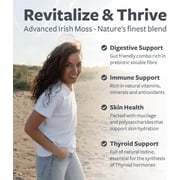 Healths Harmony Advanced Irish Sea Moss with Bladderwrack, Burdock Root, and Black Pepper, 60 Caps