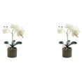 thumbnail image 3 of Naiovety Bonsái de flor de orquídea artificial, maceta de Phalaenopsis en maceta, decoración de jardín para el hogar, planta falsa de Color Blanco 2Conjunto, 3 of 6