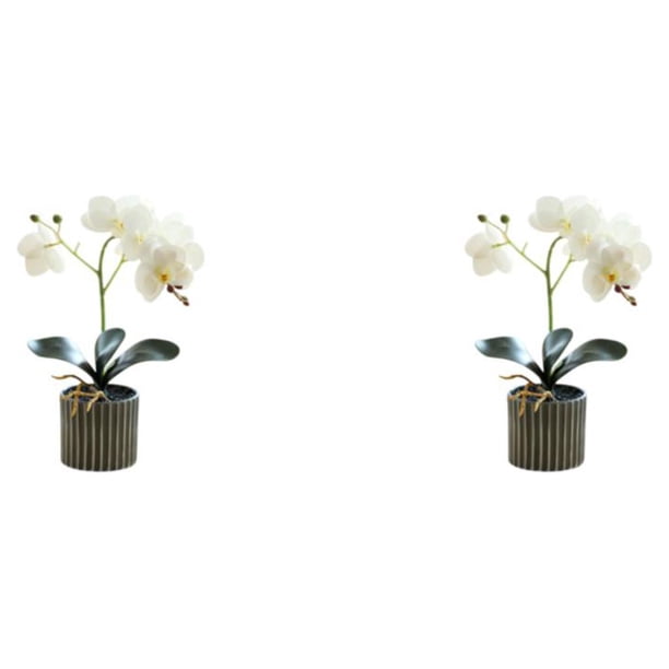 Bonsái de orquídeas artificiales Billuyoard con maceta simulación Phalaenopsis 8 flores estatuilla blanca