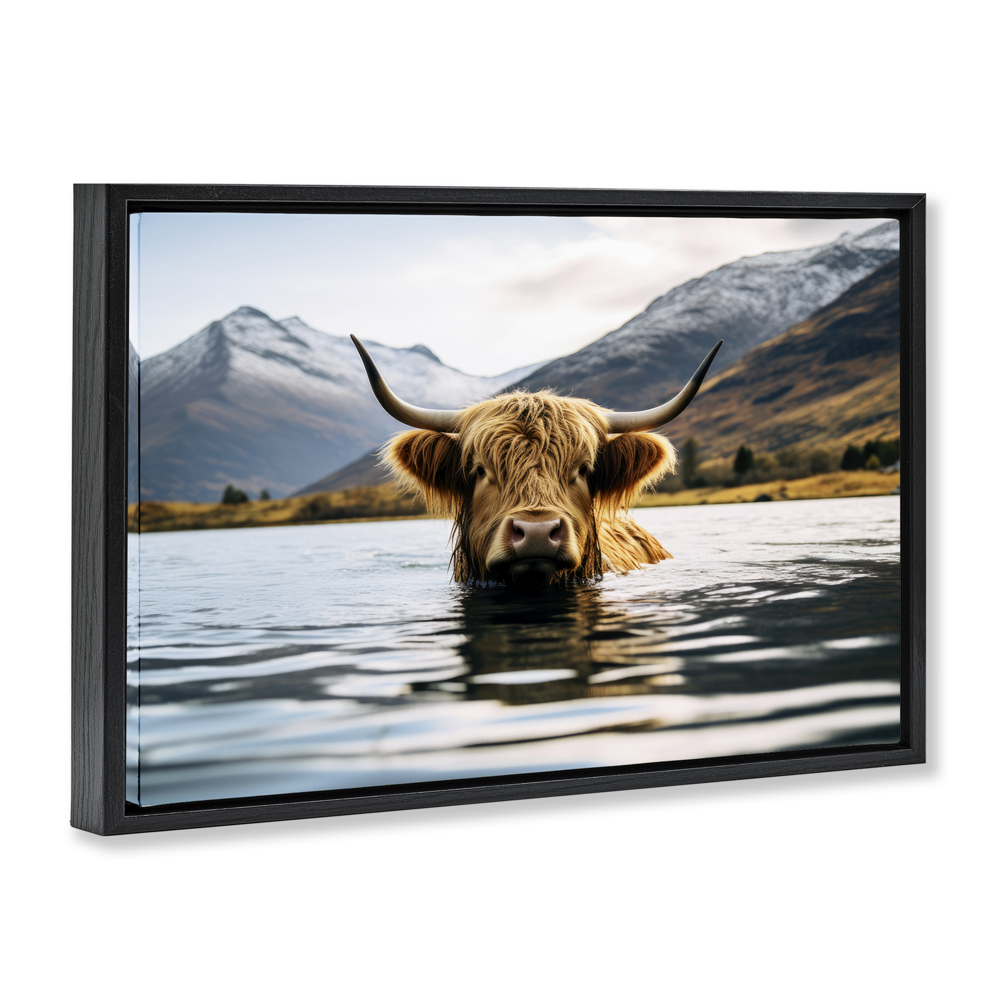Stupell Industries Cattle Peeking from Water Animals Photography Black Floater Framed Canvas Art Print Wall Art, 31 x 21