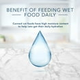 thumbnail image 6 of Blue Buffalo Tastefuls Chicken, Turkey & Chicken & Ocean Fish & Tuna Entr ©es Variety Pack Pate Wet Cat Food, 5.5-oz Can, Case of 12 (Pack of 2), 6 of 6