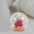 thumbnail image 5 of FONDOTIN 5Pcs Glass Dome Cover with Cork Transparent Flat Bottom for Creative Flower Display, 5 of 6