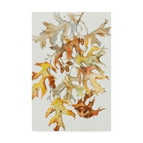 Trademark Fine Art 'Rust Colored Oak Leaves' Canvas Art by Joanne Porter