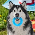 thumbnail image 4 of Pet Teether Cooling Chew Toy Puppy Teething Ring Summer Freeze Dogs Chew Toy for Small Medium Dog, 4 of 8