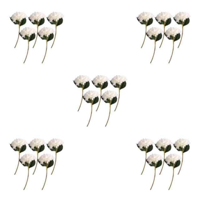 Naiovety 5x Exquisito Ramo Artesanal No Tóxico - Hecho A Mano Para Ocasiones Especiales No Tóxico Para Perros Y Gatos Blanco Type2 NO2