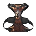 thumbnail image 5 of Lsque Fluffy Alpaca Mountain Meadow Dog Harness, No-Pull Pet Harness with 2 Leash Clips, Adjustable Soft Padded Dog Vest with Easy Control Handle for Large Dogs-Large, 5 of 9