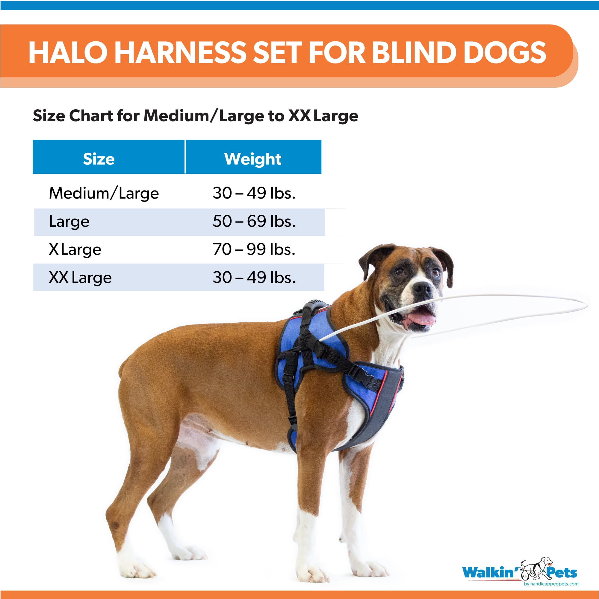 Lightweight and Flexible Harness for Blind Dogs Adjustable for a Custom Fit Walkin' Halo Harness for Pets 