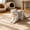 Blue#119, variant on Blue Cat Donut Chew Toy with Built-in Bell, Interactive Mesh Tube Kitten Teething Ring for Dental Health, Indoor Play, 1.97x1.97 In