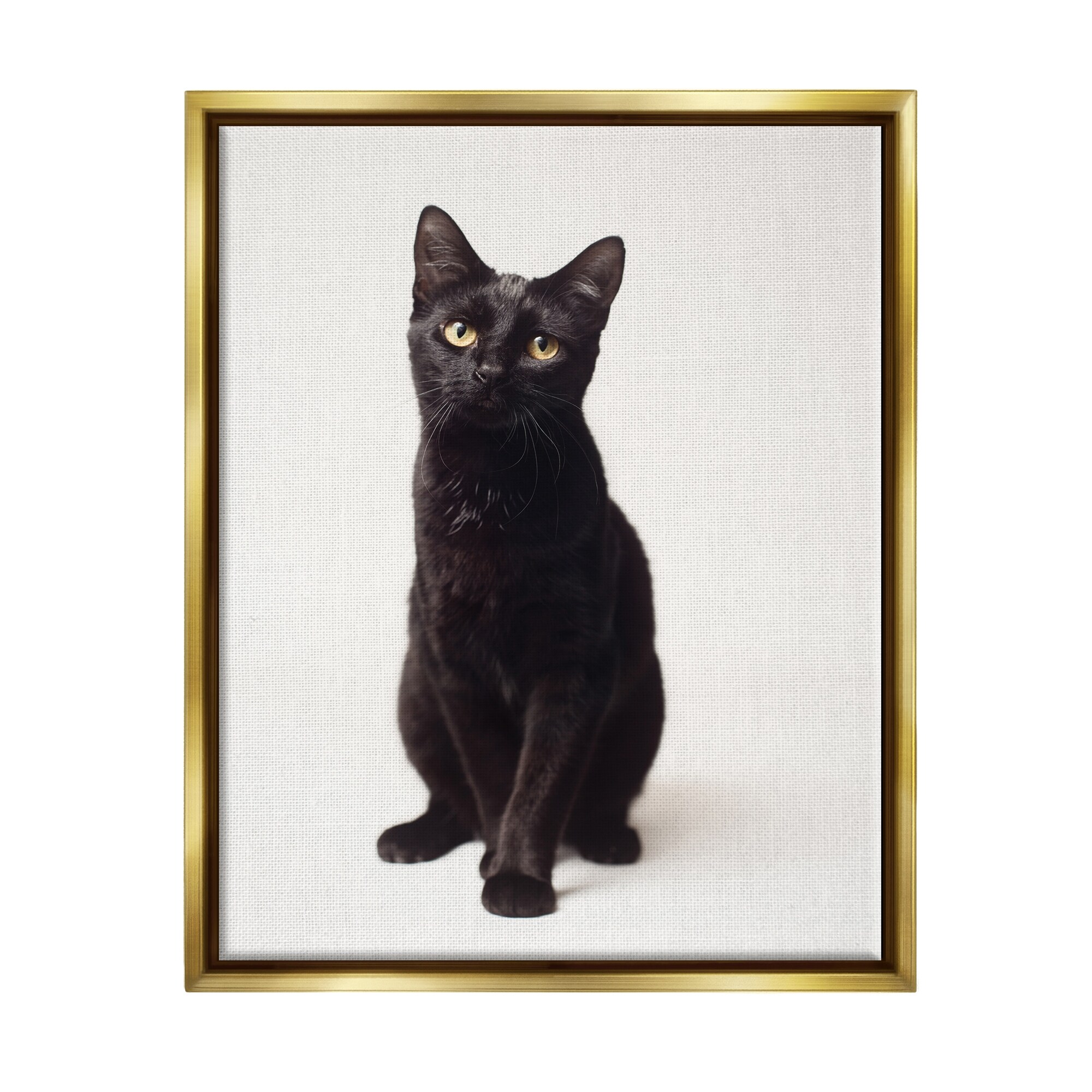 Stupell Industries Cute Black Cat Expressive Eyes Pet Portrait Metallic Gold Framed Floating Canvas Wall Art, 16x20, by Marika Moffit