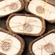 thumbnail image 1 of Vela Red Barn Candle Company Tazon de Madera Cera de Soja Natural 3 Mechas, 1 of 4
