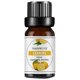 thumbnail image 1 of Clearance!Maojin Aromaterapia Aceite soluble en agua Aromaterapia adecuada para humidificador 10 ml, 1 of 3