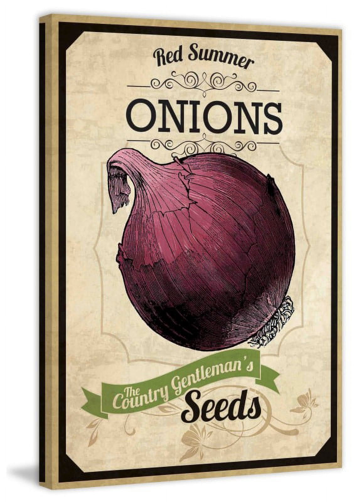 Marmont Hill "Seed Packet Onion" Painting Print on Canvas