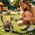 thumbnail image 5 of Kiddiway Cat Chew Toys Three Flavors - Purriq Natural Cat Sticks That Clean Teeth, Interactive Cat Toy Fishbone for Indoor Cats, Cat Toys Interactive,green, 5 of 7