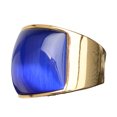 thumbnail image 1 of Sonducket Anillo de acero inoxidable para mujer, moda de cumpleaños, boda, fiesta nupcial, tienda, fecha escolar, joyería de viaje para mujer Ropa, zapatos y accesorios Miscelánea Azul Sonducket AP014986-01, 1 of 6