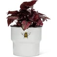 thumbnail image 2 of Abbott Collection 27-BUMBLE-664-LG Large Rimmed Planter with Solo Bee, White, 2 of 5
