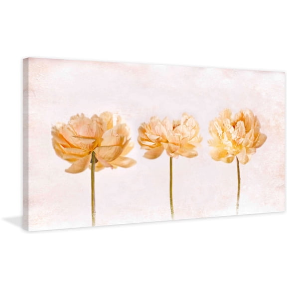MARMONT HILL  - 'Penoies' by Aryai Painting Print on Canvas - Multi-Color 24 x 12