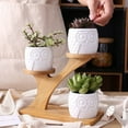 thumbnail image 3 of 3 Pcs Jardinière en Céramique pour Succulentes Forme de Hibou avec Support en Bambou, 3 of 4