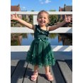thumbnail image 5 of BemeyourBBs Kids Toddler Girls Fairy Butterfly Tulle Tutu Dress Big Girl Summer Ruffled Dress Cute Sleeveless Ruffle Princess Birthday Party Wedding Guest Dress with Belt, 5 of 9