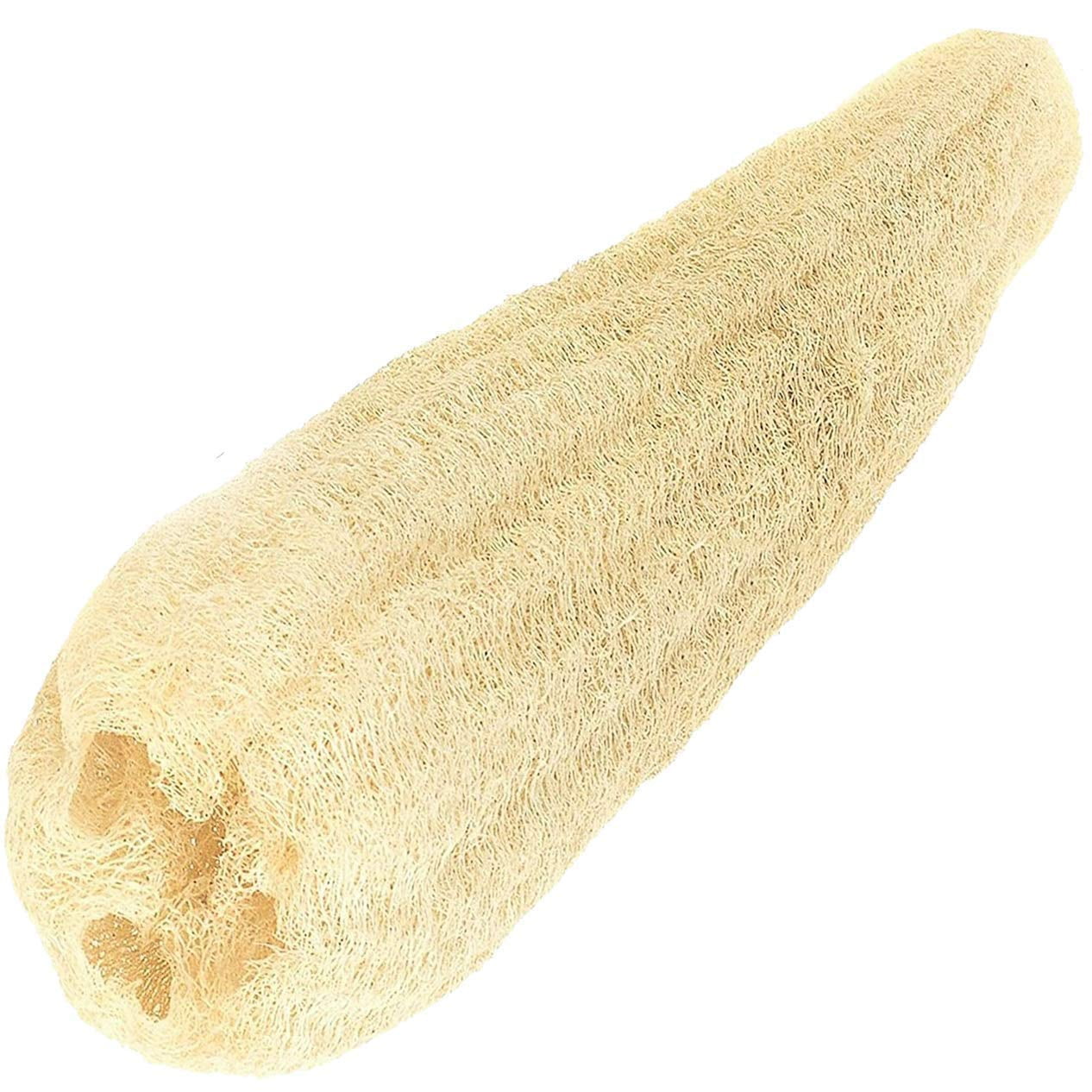 best loofah for body wash