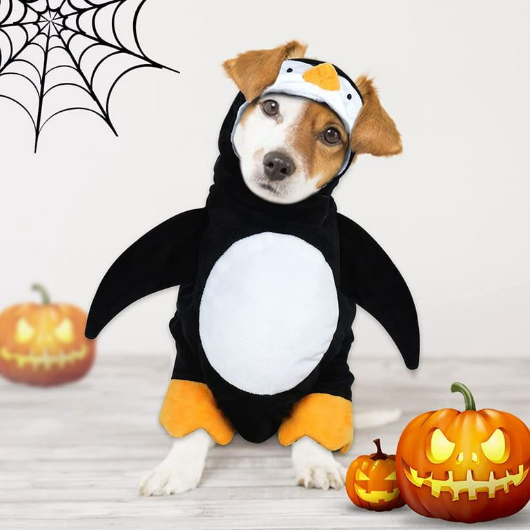 cute halloween dogs