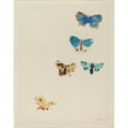 thumbnail image 3 of Odilon Redon 12x14 Black Modern Framed Museum Art Print Titled - Five Butterflies (C. 1912), 3 of 5