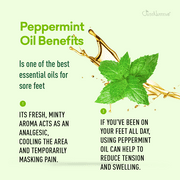 Just Nutritive Peppermint Foot Lotion for Healing & Soothing with Shea Butter, 8 oz